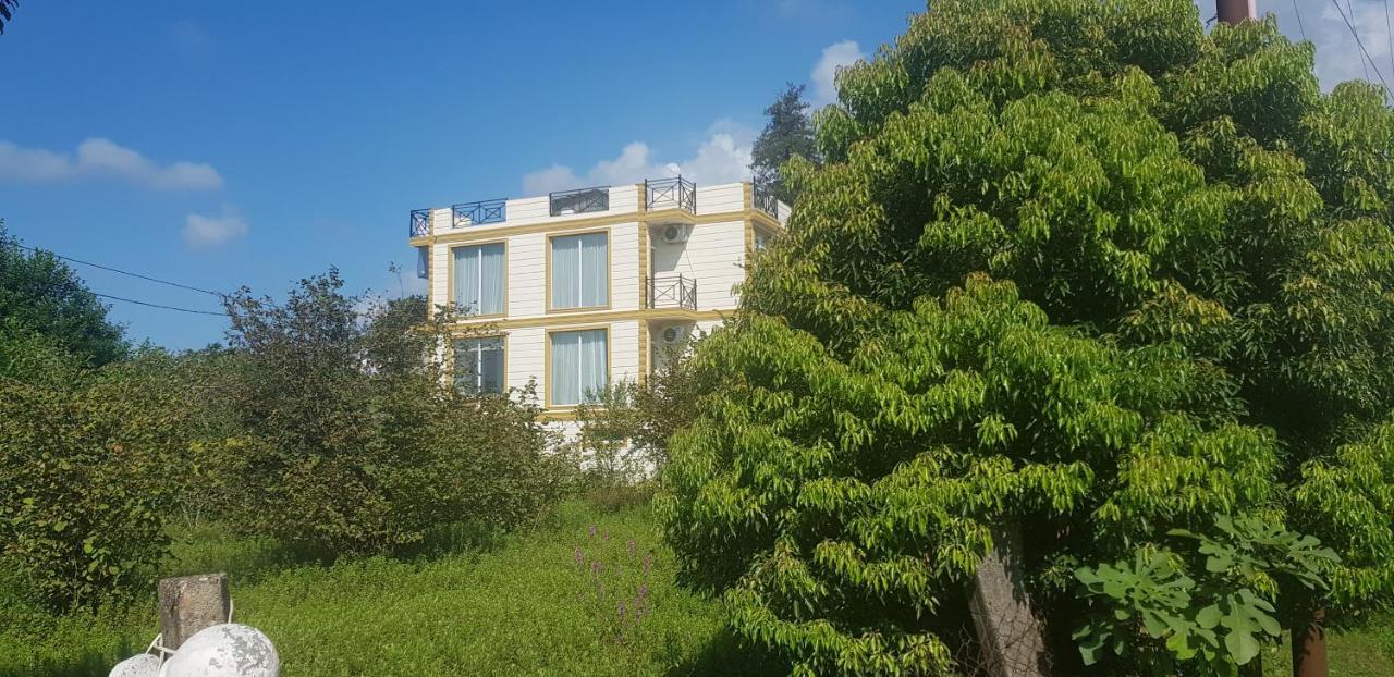 Wonderland Hotel Chakvi Bagian luar foto